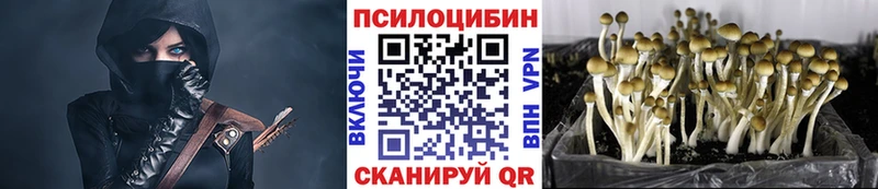 Купить где  Гвардейск  Галлюциногенные грибы GOLDEN TEACHER 